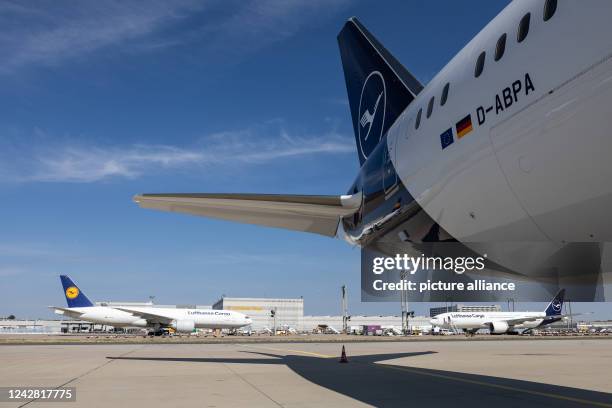 August 2022, Hessen, Frankfurt/Main: The Lufthansa Boeing 787-9 aircraft stands in its parking position at Frankfurt Airport, with two Lufthansa...