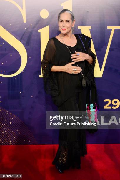 Isaura Espinoza attends at red carpet of the tribute of Silvia Pinal to celebrate her artistic career of of more than 60 years in Entertainment at...