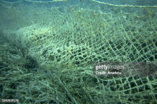 16,771 Fishing Nets Ocean Stock Photos, High-Res Pictures, and Images -  Getty Images