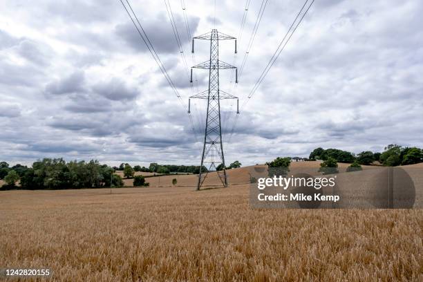 Electricity pylons and power lines above golden field of barley, ready for harvest on 29th August 2022 in Henley-in-Arden, United Kingdom. Barley, a...