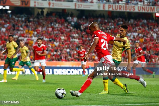 Joao Mario of SL Benfica, Miguel Nobrega of Rio Ave FC battle for the ball during the Liga Portugal Bwin match between SL Benfica and Pacos de...