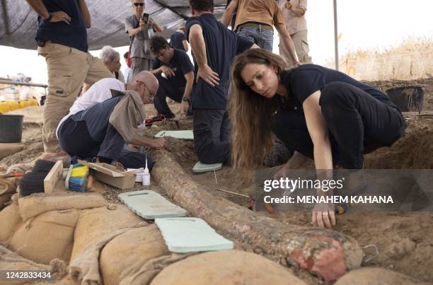 Archaeologists, paleontologists and conservators from Israel Antiquities Authority, Tel Aviv University and Ben Gurion University, work at the site...