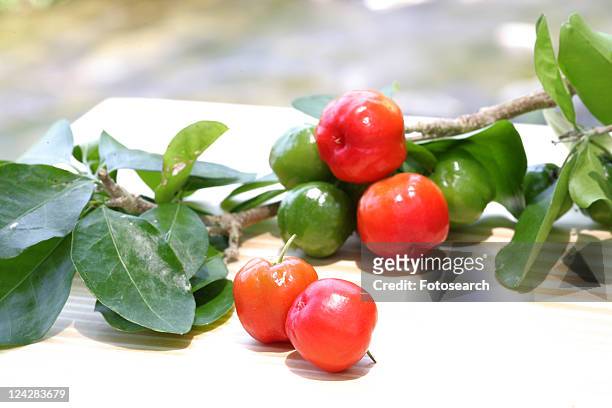 acerola - acerola stock pictures, royalty-free photos & images