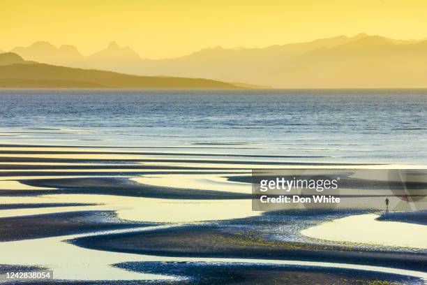 vancouver island british columbia - low tide stock pictures, royalty-free photos & images