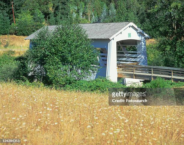 sandy creek covered bridge, southern oregon - stowe vermont stock pictures, royalty-free photos & images
