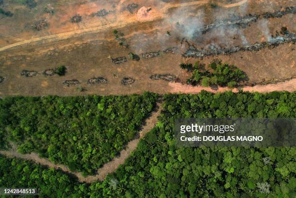 Aerial view of a burnt area in the Amazon rainforest, near Porto Velho, state of Rondonia, northern Brazil, on August 31, 2022. - Experts say Amazon...