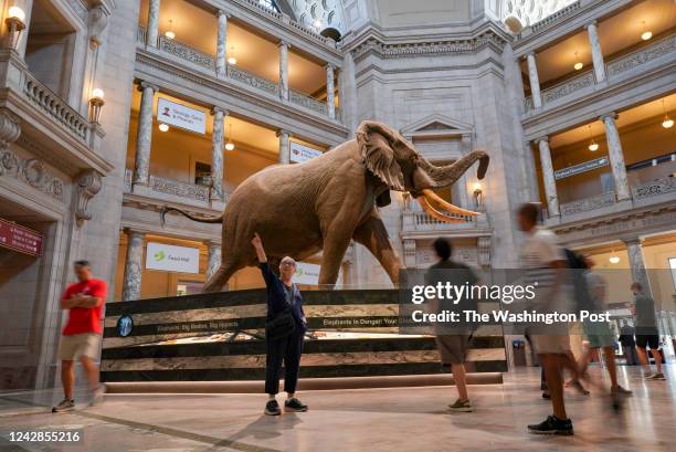 Visitors explore the Smithsonian National Museum of Natural History on August 31, 2022 in Washington, District of Columbia.