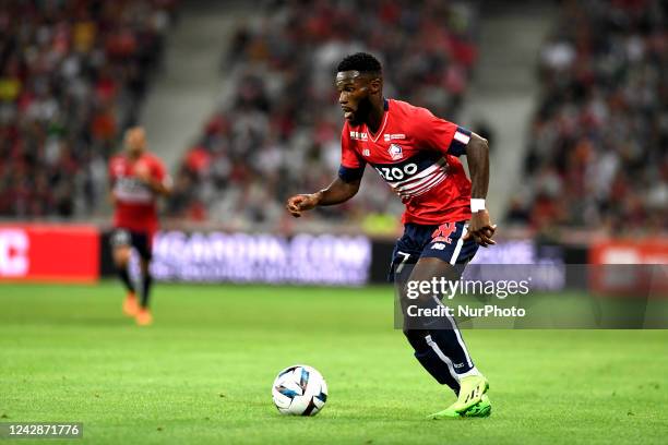 5,267 Nice V Losc Lille Ligue 1 Stock Photos, High-Res Pictures, and Images - Getty Images