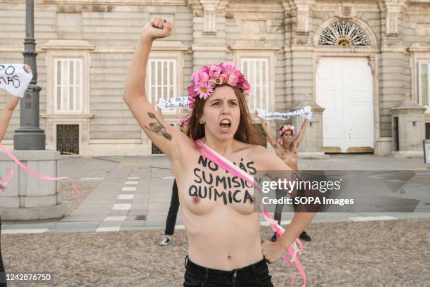 Topless members of the feminist activist group protest in front of the Royal Palace with slogans painted on their bodies against a wave of sexual...