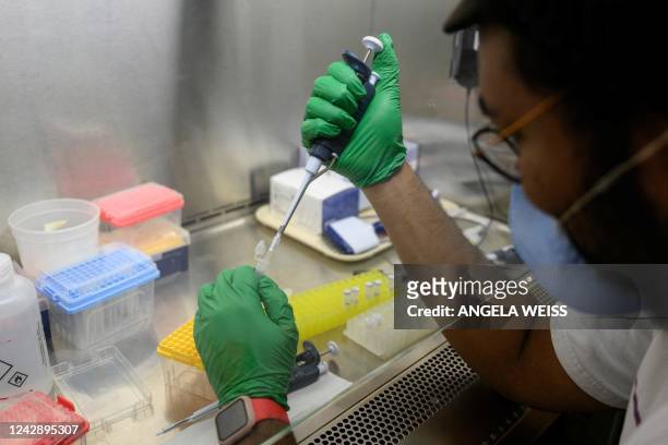Research assistant prepares a PCR reaction for polio at a lab at Queens College on August 25 in New York City. - Since the first polio case was...