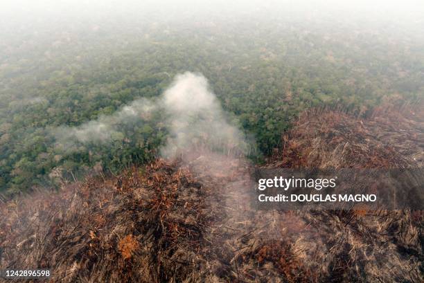 View of a deforested and burning area of the Amazon rainforest in the region of Labrea, state of Amazonas, northern Brazil, on September 2, 2022. -...