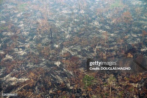 View of a deforested and burning area of the Amazon rainforest in the region of Labrea, state of Amazonas, northern Brazil, on September 2, 2022. -...