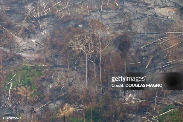 View of a deforested and burning area of the Amazon rainforest in the region of Labrea, state of Amazonas, northern Brazil, on September 2, 2022.or...