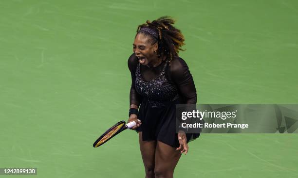 Serena Williams of the United States reacts to winning a point against Ajla Tomljanovic of Australia in her third round match on Day 5 of the US Open...