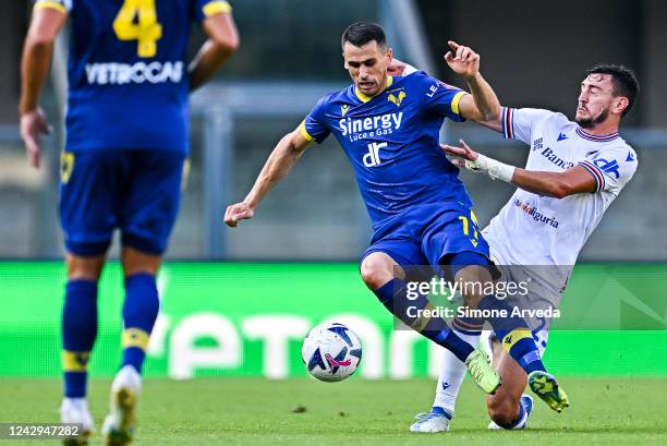 Kevin Lasagna of Hellas Verona and Alex Ferrari of Sampdoria vie for the ball during the Serie A match between Hellas Verona and UC Sampdoria at...