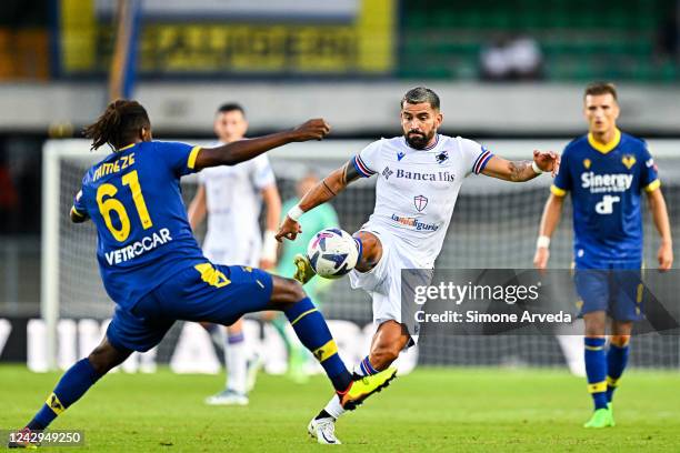 Adrien Tameze of Hellas Verona and Tomás Rincón of Sampdoria vie for the ball during the Serie A match between Hellas Verona and UC Sampdoria at...