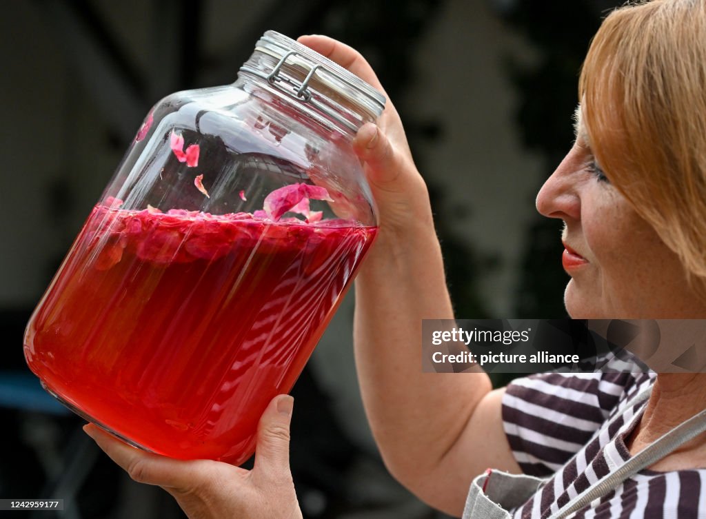 Rose Laboratory Templin