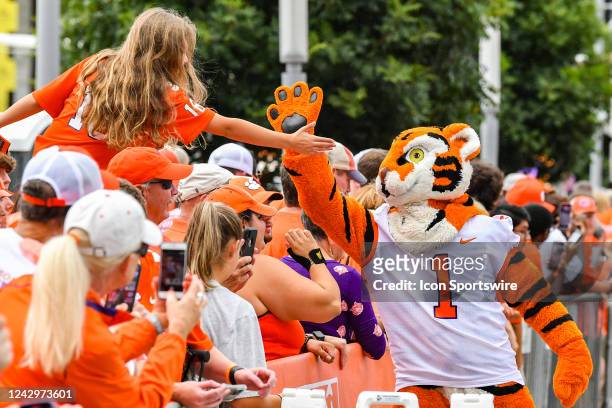 The Clemson mascot greets the fans prior to the start of the Chick-Fil-A Kickoff Game between the Clemson Tigers and the Georgia Tech Yellow Jackets...
