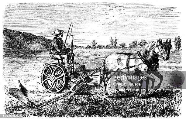 antique illustration: agricultural machinery - plough stock illustrations