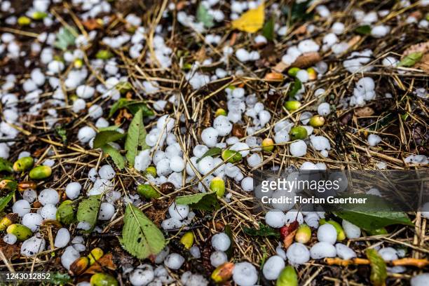 Hailstones are pictured on the ground after a heavy hailstorm on September 07, 2022 in Berbersdorf, Germany.