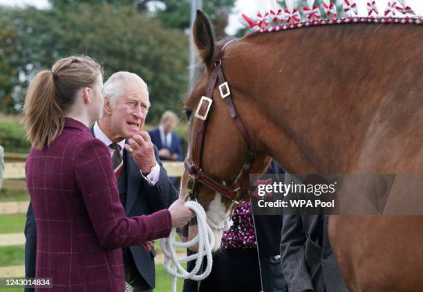 Prince Charles, Prince of Wales, known as the Duke of Rothesay while in Scotland, and Patron of the Clydesdale Horse Society, reacts after viewing a...