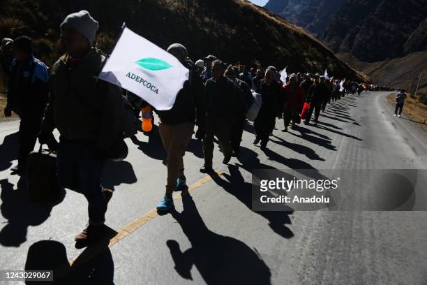 Coca producer holds a flag of the Departmental Association of Coca Producers during a march of coca growers to the seat of government demanding the...