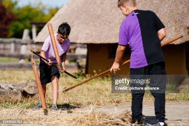 Lab Ox Lab Ox Photos and Premium High Res Pictures - Getty Images