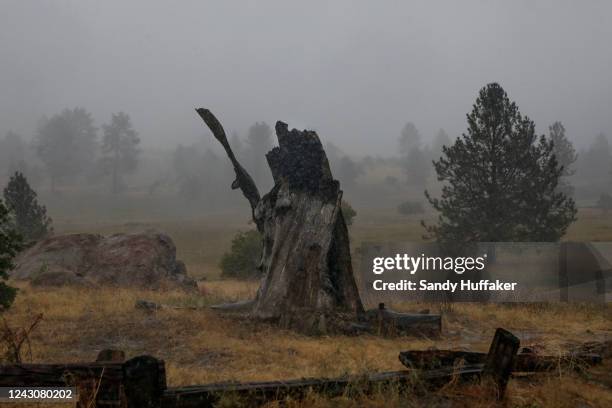 Rain and heavy winds from Hurricane Kay on September 9, 2022 in Julian, California. The Tropical Storm, which produced winds up to 109 MPH in the...