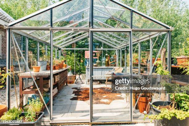 small greenhouse exterior in a dutch garden in summer. - japanese tea garden stock pictures, royalty-free photos & images