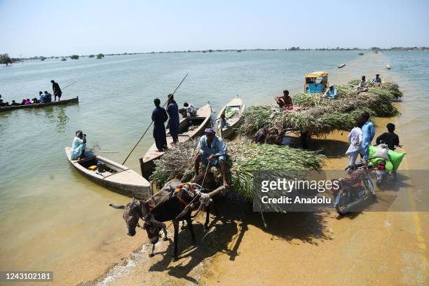 Flood victims are moving to a safer place from Jhangara and bajara village of Sehwan Sindh province according to the disaster management authorities...