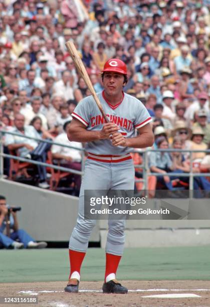 Johnny Bench of the Cincinnati Reds bats against the Pittsburgh Pirates during a Major League Baseball game at Three Rivers Stadium in 1975 in...