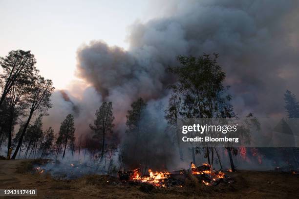 Smoke rises from a backfire operation during the Mosquito fire near Volcanoville, California, US, on Friday, Sept. 9, 2022. The wildfire, which...