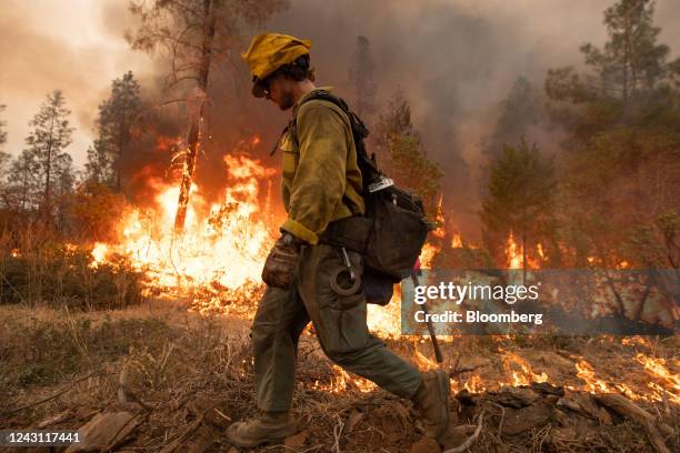 Firefighter uses a drip torch during the Mosquito fire near Volcanoville, California, US, on Friday, Sept. 9, 2022. The wildfire, which started...