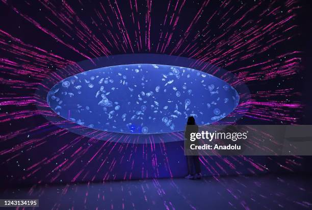 General view from the giant aquarium, which is home to about 10 thousand jellyfish in Prague, Czech Republic on September 06, 2022. The World of...