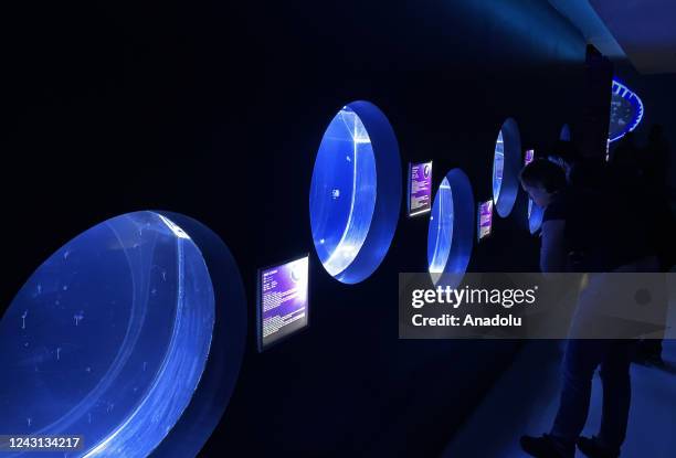 General view from the giant aquarium, which is home to about 10 thousand jellyfish in Prague, Czech Republic on September 06, 2022. The World of...