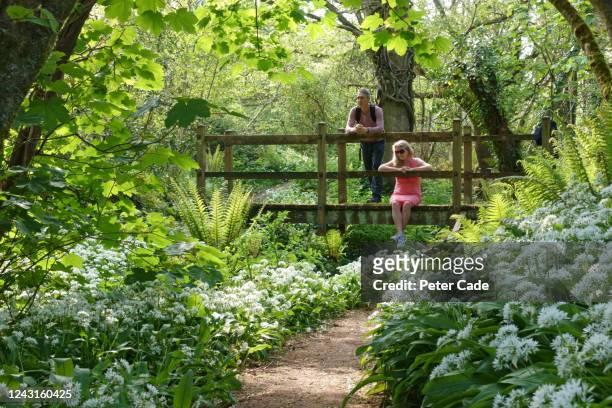 couple resting on picturesque bridge in woodland - garden bridge stock-fotos und bilder