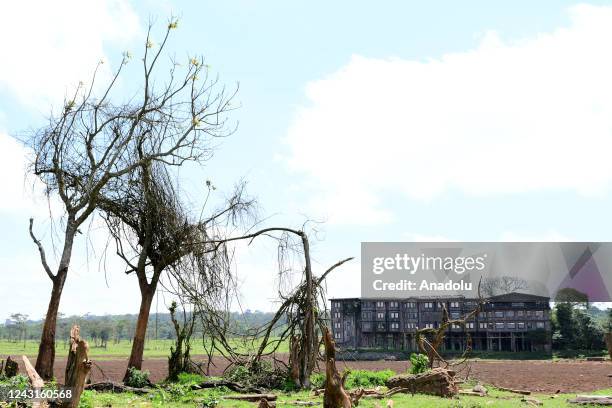 General view of the Treetops Hotel, where in 1952 the 25-year-old Princess Elizabeth became Queen, upon the death of her father, King George VI, in...