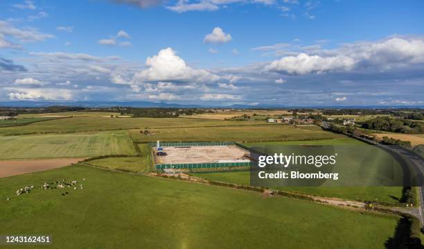 Cows graze in the fields surrounding the Cuadrilla Resources Ltd. Exploration gas well site on Preston New Road near Blackpool, UK, on Saturday,...