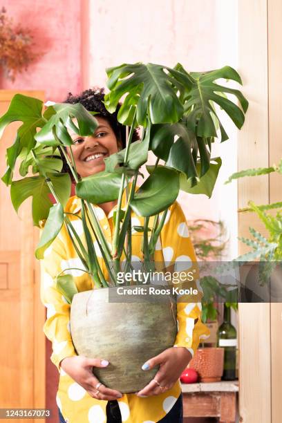 young woman with plant - houseplant care stock pictures, royalty-free photos & images