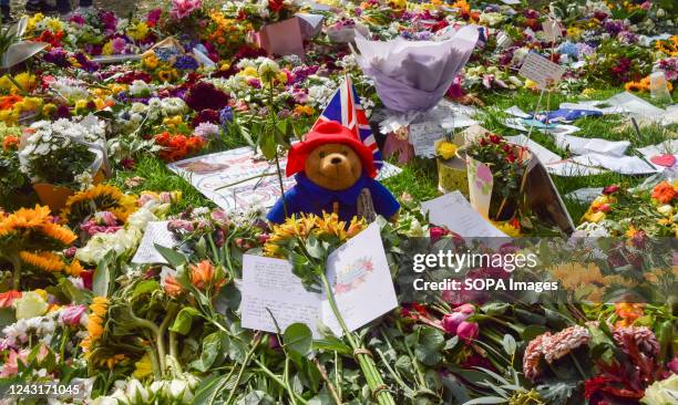 Paddington Bear toy sits among the floral tributes for the Queen in Green Park. Many of the flowers were moved from outside Buckingham Palace while...