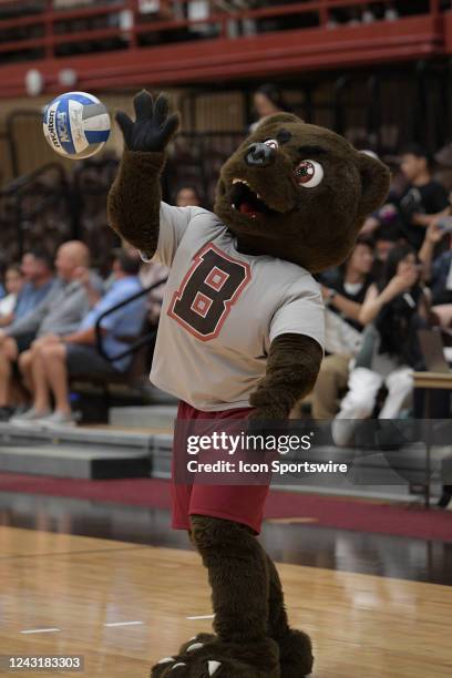 Bruno, the Brown Bears mascot, serves a volleyball during warmups prior to a college volleyball match between the Rhode Island Rams and the Brown...
