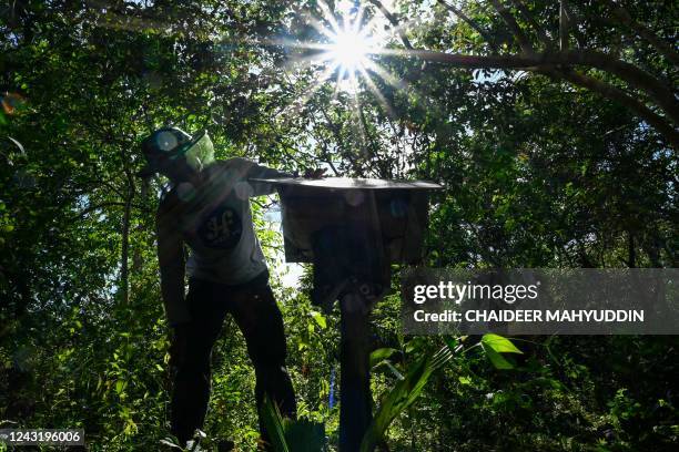 Beekeeper prepares to collect honey from a stingless bee hive at an apiary in Blang Bintang, Indonesia's Aceh province on September 13, 2022.