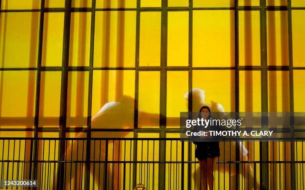 Person attends the opening press preview of Hall des Lumières, New York Citys new permanent center for immersive digital art experiences, on...