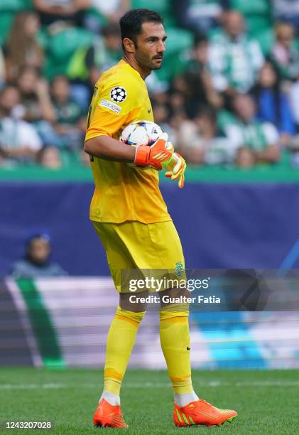 Antonio Adan of Sporting CP in action during the UEFA Champions League - Group D match between Sporting CP and Tottenham Hotspur at Estadio Jose...