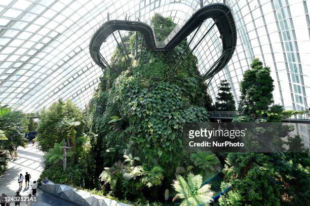 General view of the Cloud Forest conservatory at Garden by the Bay in Singapore on Singapore, on September 12, 2022.
