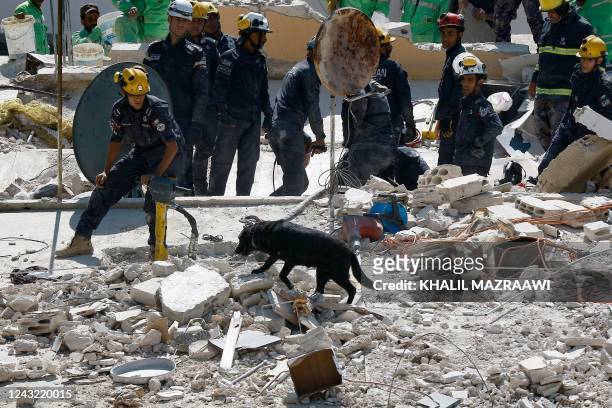 Jordanian rescue teams use a dog as they search for 10 people still missing under the rubble of a collapsed four-storey building in the capital Amman...