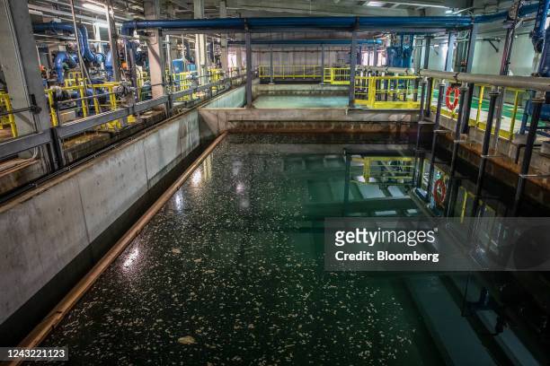 Sea water is treated in a ferric chloride flotation tank at the ITAM Llobregat desalination plant, operated by Ens dAbastament dAigua Ter-Llobregat...