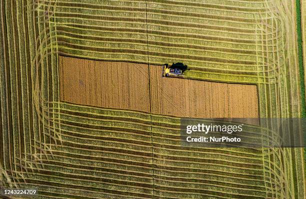 Rice harvesting operations in the Vercelli area, richer in water, where drought has caused less damage than elsewhere. Rice needs a lot of water for...