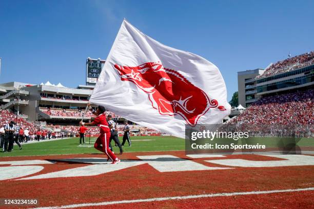 Cheerleader waving an Arkansas Razorbacks flag during the college football game between the South Carolina Gamecocks and Arkansas Razorbacks on...