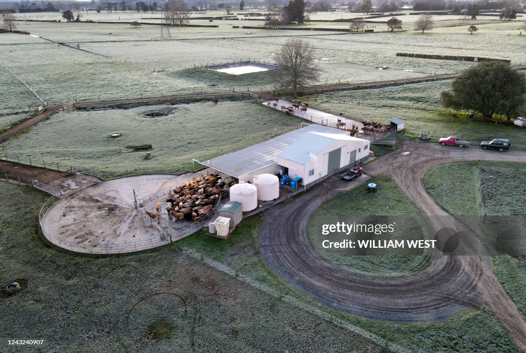 NZEALAND-AGRICULTURE-FARM-FONTERRA
